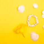 Reddybook Review: How the Innovative Platform Enhances Learning and Integrates 11xplay for Entertainment